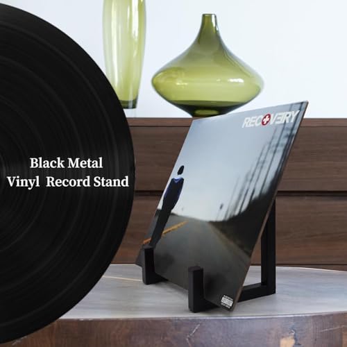 Vinyl Record Holder - 1 Piece Metal Display Stand for Albums
