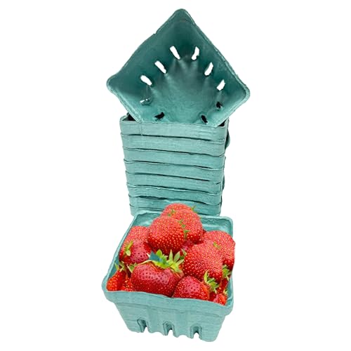 Green Berry Basket - 15 Pack Vented Produce Containers for Fruits & Vegetables