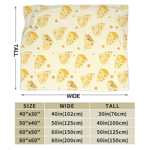 Cheese Throw Blanket 60x50 Inches Cozy Fuzzy Plush Fleece Warm Bedding Gift for Man Woman