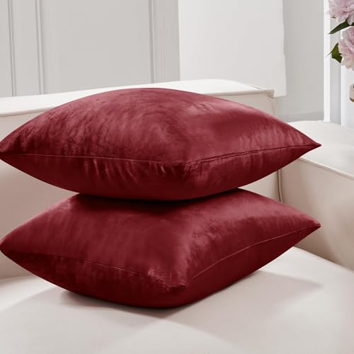 Deconovo Velvet Throw Pillow Covers - 2 Pack, 26x26 Inch, Wine Red