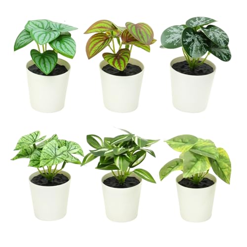 Freyalife 6 Pack Mini Artificial Potted Plants for Indoor Decor