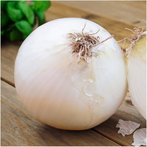 White Sweet Spanish Onion Seeds - Heirloom, 1 Pack for Planting