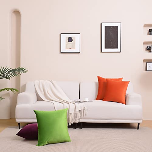 Krifey Velvet Throw Pillow Covers 18x18 Inch, Soft Decorative Cushion Case, 2-Pack