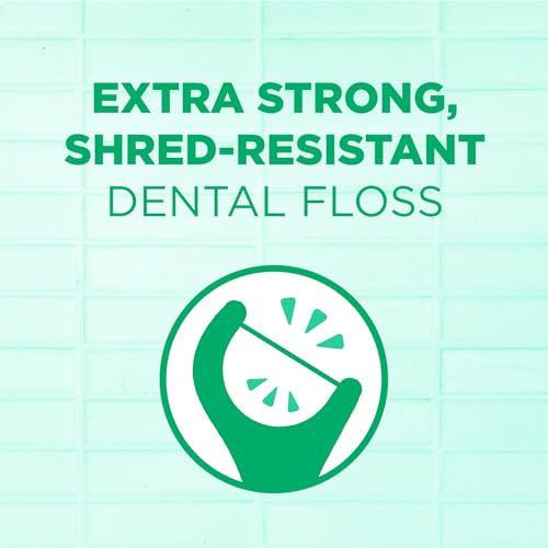 GUM Professional Clean Dental Floss Picks, Fresh Mint, 40 Count