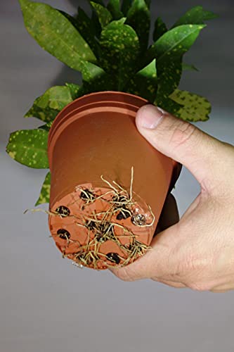 Soil Moist Vacation Watering Mats for Indoor & Outdoor Plants - 2 Count
