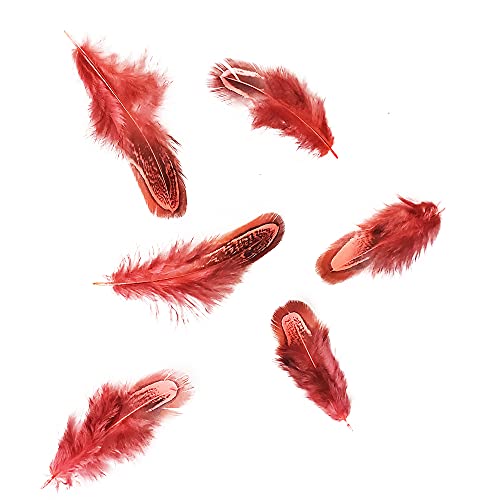 Natural Pheasant Plumage Feathers - 50 pcs, 2-3 Inches, Red