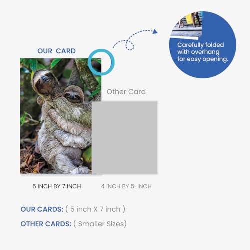 Heartwarming Sloth Greeting Card - 5x7 Blank for Any Occasion