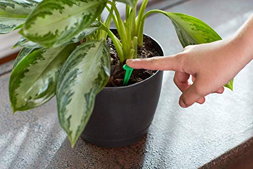 Miracle-Gro Indoor Plant Food Spikes - 48 Count for Houseplants