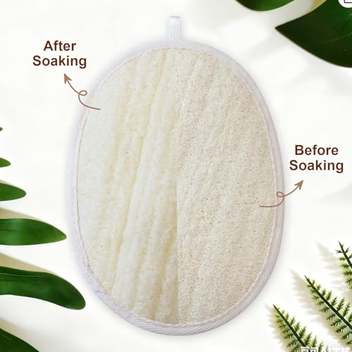 Natural Luffa Exfoliating Body Scrubber - 3 Pack Eco-Friendly Loofah Sponge