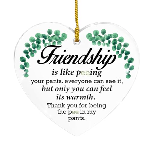 Funny Friendship Acrylic Ornament Keepsake Gift for Best Friends