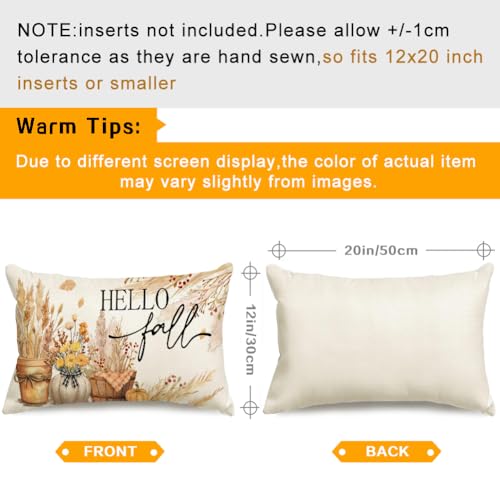 RABUSOFA Fall Throw Pillow Cover 12x20 - Dried Pampas Grass Decor