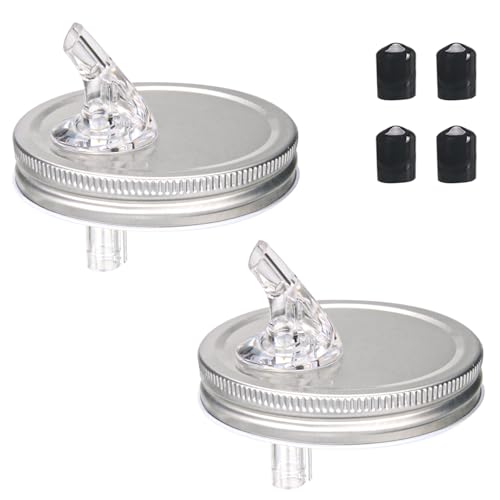 Wide Mouth Mason Jar Pour Spout Lids - Silver, 2-Pack, BPA-Free Leak-Proof