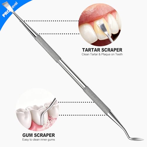 G.CATACC 2 Pack Dental Pick and Plaque Remover Kit with Travel Case