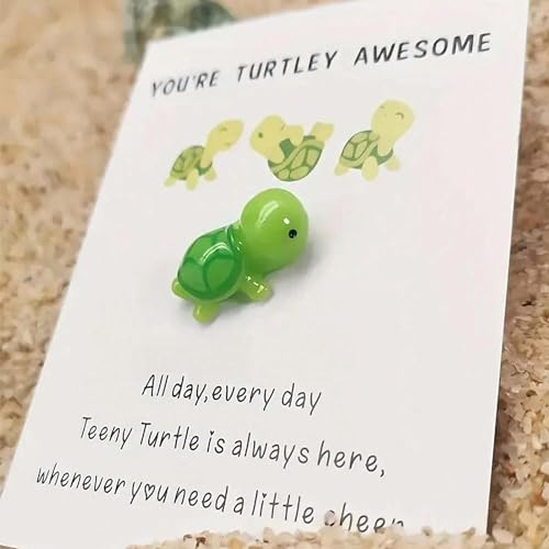 Handmade Emotional Support Turtle Gift with Encouragement Card