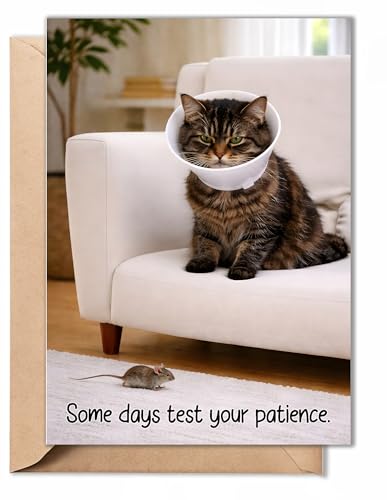 Funny Get Well Soon Card - Grumpy Cat Design, 5x7 with Envelope