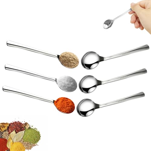 Mini Stainless Steel Spoons Set of 6 - 3.93" Tiny Spice Spoons