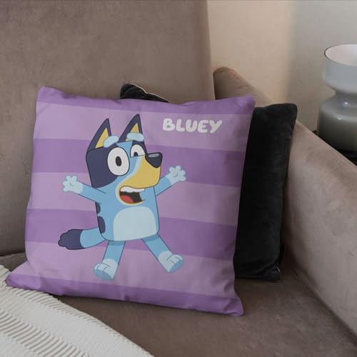 NORTHWEST Bluey Pillow, 18" x 18", Roll Call Bluey