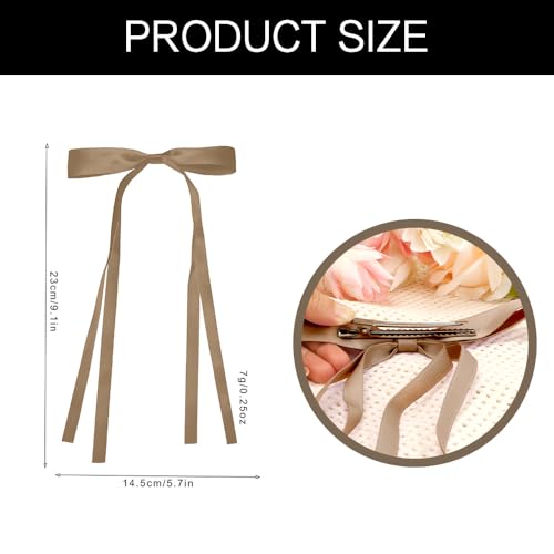 LAOTIDui Satin Hair Bow Clips for Women Large Coquette Hair Ribbon 2Pcs