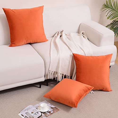 Krifey Velvet Throw Pillow Covers 18x18 Inch, Soft Decorative Cushion Case, 2-Pack