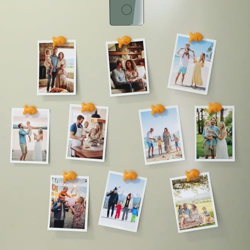 Cute Fish-Shaped Refrigerator Magnets - 12-Pack Strong Hold