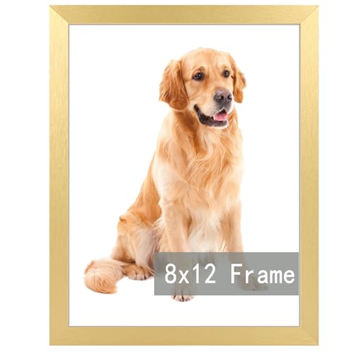 RUN HELIX 8x12 Gold Picture Frame for Wall or Tabletop Display