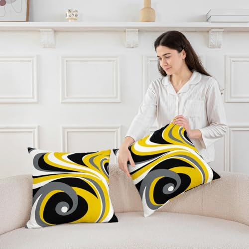 Geometric Striped Throw Pillow Covers - Set of 2, 20x20 inch