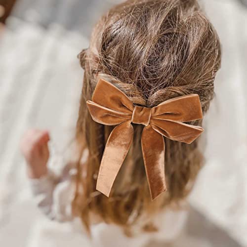 Aileam Brown Velvet Hair Bows with Alligator Clips - 2 Pack