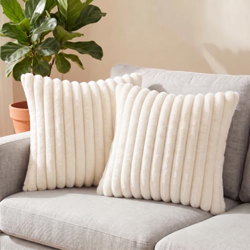 Set of 2 Cream White Decorative Throw Pillow Covers 18x18