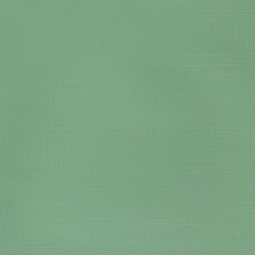 Winsor & Newton Galeria Acrylic Color Tube - Pale Olive 60ml