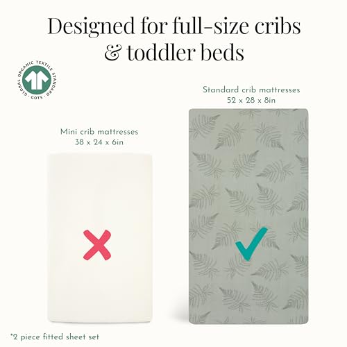 Evolur 2-Pack Organic Cotton Fitted Crib Sheets - Sage Green Dinosaur Print
