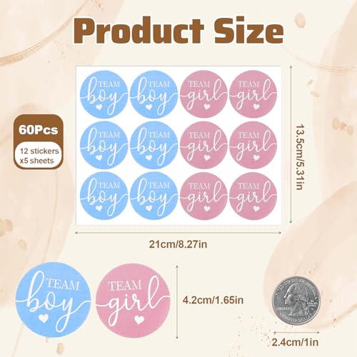 60Pcs Gender Reveal Stickers 1.65in - Team Boy & Girl Party Decor
