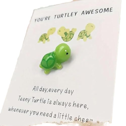 Handmade Emotional Support Turtle Gift with Encouragement Card
