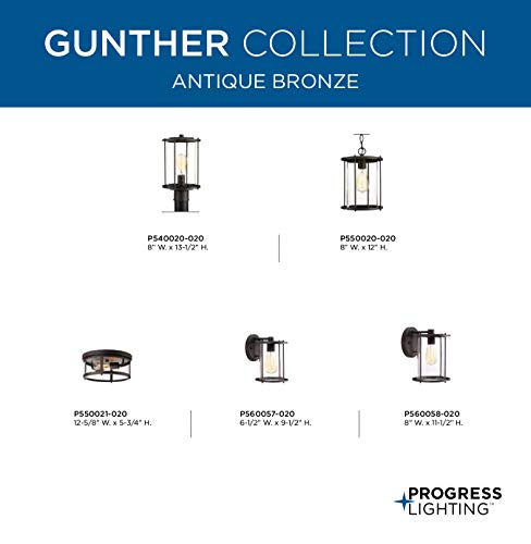 Progress Lighting Gunther Collection 2-Light Clear Glass Farmhouse Outdoor Flush Mount Light Antique Bronze, 5.75x12.63x12.63