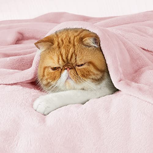 Bedsure GentleSoft Fleece Throw Blanket - Pink, 50x70 Inch Lightweight Plush