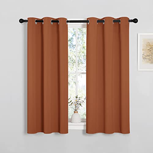 NICETOWN Burnt Orange Kitchen Curtains 34" W x 48" L (2 Panels)