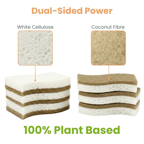 VIREO Eco-Friendly Biodegradable Sponges - 12 Pack Odor-Free Kitchen Scrubbers
