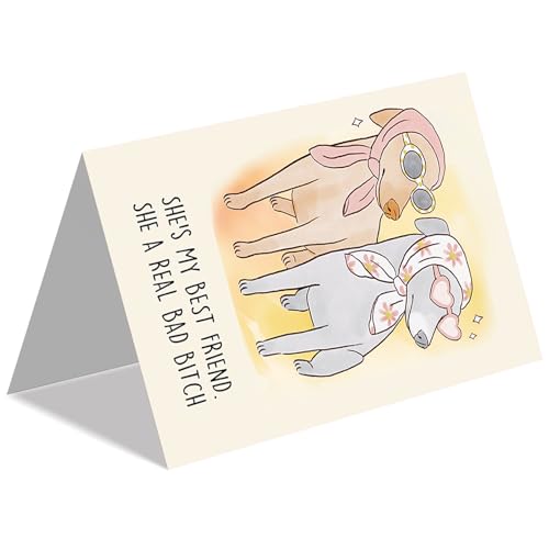 Beixian Funny Dog Birthday Card BX191 - Cute Gift for Women