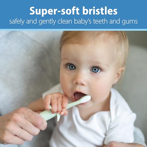 Dr. Brown's Infant-to-Toddler Elephant Toothbrush, Mint - 12 Pack