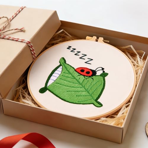 Beginner Embroidery Kit with Video Tutorial - Crafmanoe