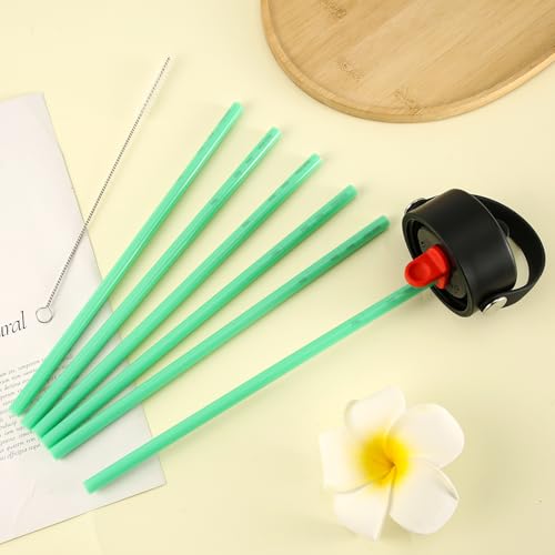 Replacement Straws for Hydro Flask Wide Mouth Bottle with Brush, 6 Pack