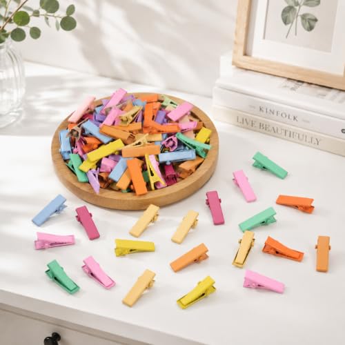 Bruislard 100 Pcs Mini Alligator Clips 2cm Small Metal Hair Barrettes
