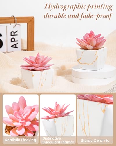 Taybonds Artificial Succulent in Elegant White Ceramic Pot - 2PCS