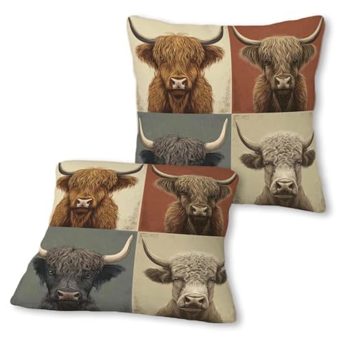 Highland Cow Throw Pillow Covers 18x18, Set of 2 Rustic Farmhouse Decor