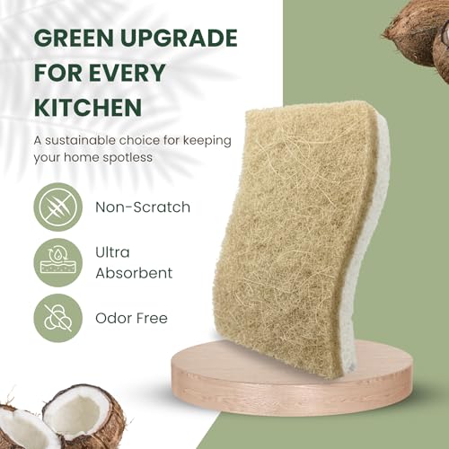VIREO Eco-Friendly Biodegradable Sponges - 12 Pack Odor-Free Kitchen Scrubbers