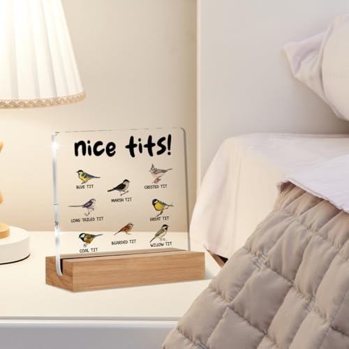 Funny Acrylic Sign for Bird Lovers - 4x4 Inch Desk Decor