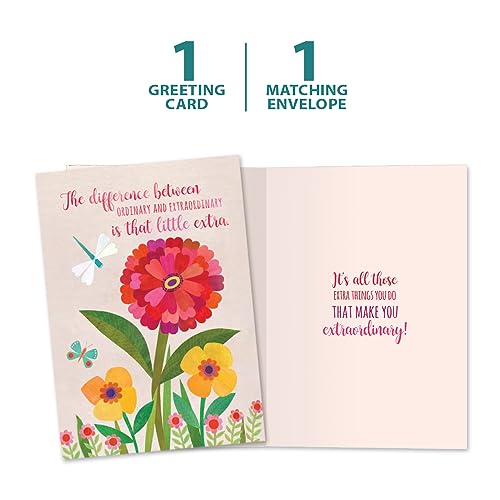 Tree-Free Greetings Just Because Cards - 12 Premium 5x7 Cards