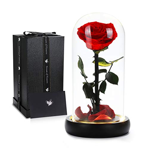 LED Preserved Rose Flower Gift - Christmas Rose with Warm Lights, Glass Dome, Forever Flowers for Women