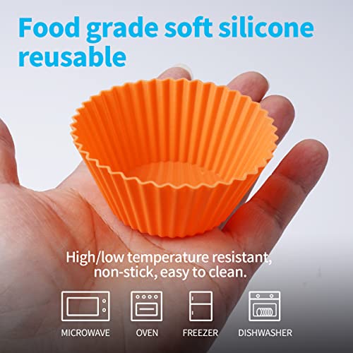 Doiaz Silicone Bento Box Set with Dividers & Food Picks - 52 Pack