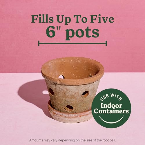 Miracle-Gro Indoor Potting Mix for Orchids, 8 Qt (2-Pack)