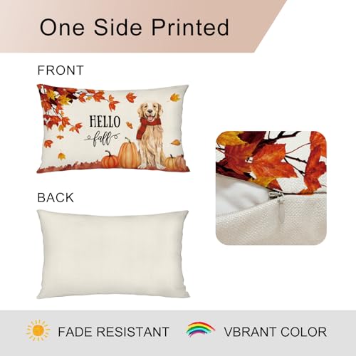 Hello Fall Golden Retriever Lumbar Throw Pillow Cover, 12x20 Inch Autumn Decor